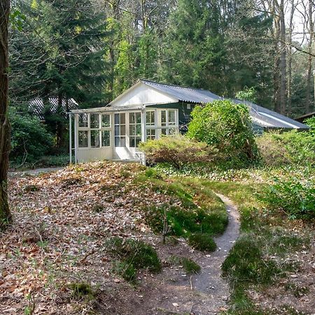 "Esdoorn" Ontspannen In De Hottub Norg Exterior foto
